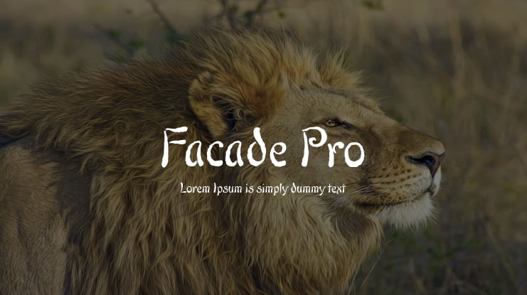 Facade Pro Font