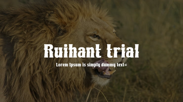 Ruihant trial Font