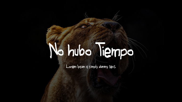 No hubo Tiempo Font
