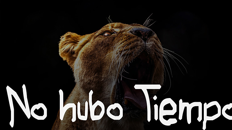 No hubo Tiempo Font