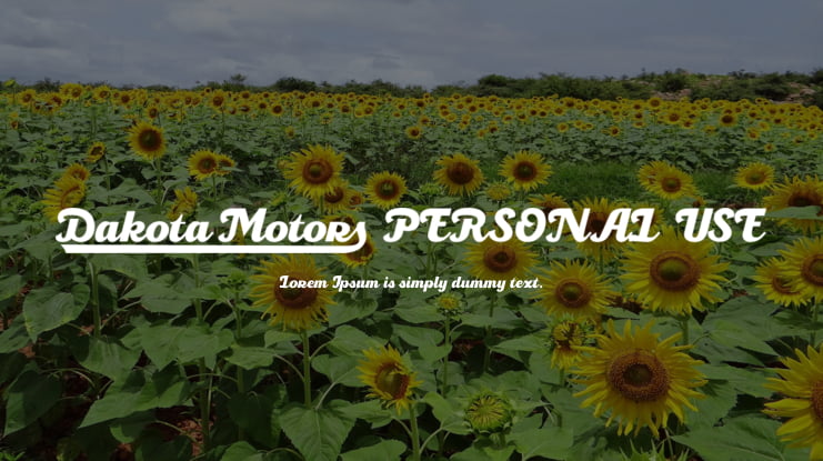 Dakota Motors PERSONAL USE Font