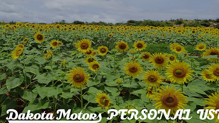 Dakota Motors PERSONAL USE Font