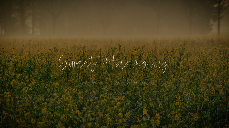 Sweet Harmony Font