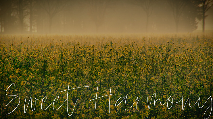 Sweet Harmony Font