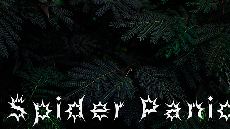 Spider Panic Font
