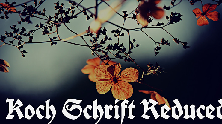 Koch-Schrift Reduced Font