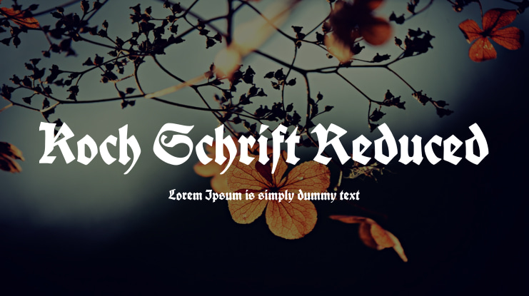 Koch-Schrift Reduced Font
