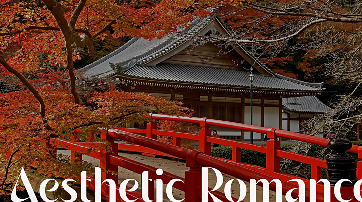 Aesthetic Romance Font