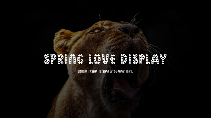 Spring Love Display Font Family