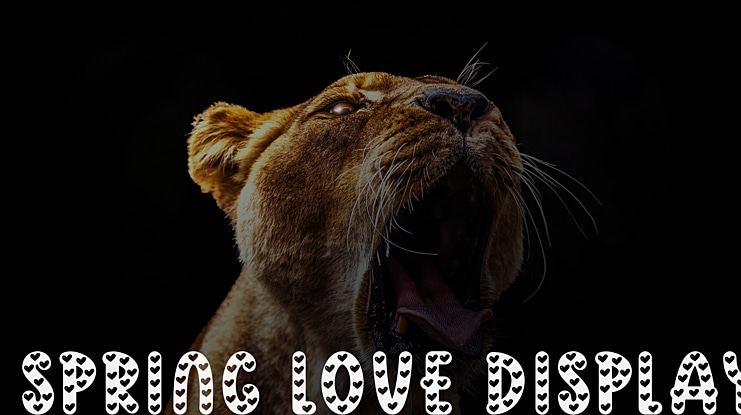 Spring Love Display Font Family
