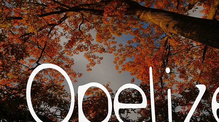 Opelize Font