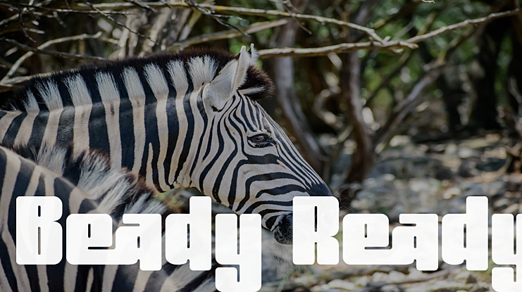 Beady Ready Font