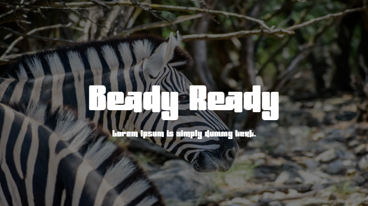 Beady Ready Font
