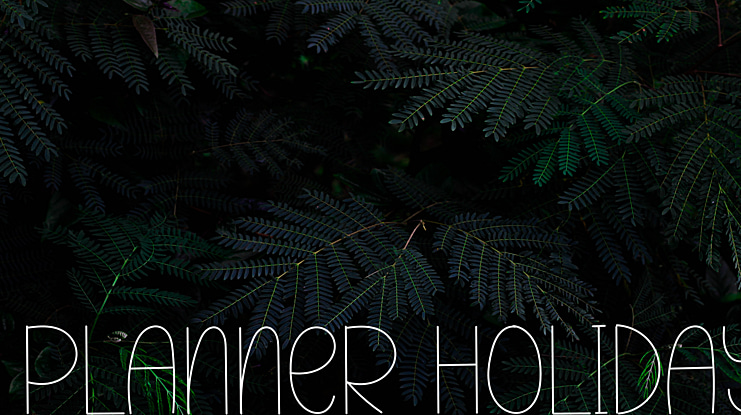 Planner Holiday Font