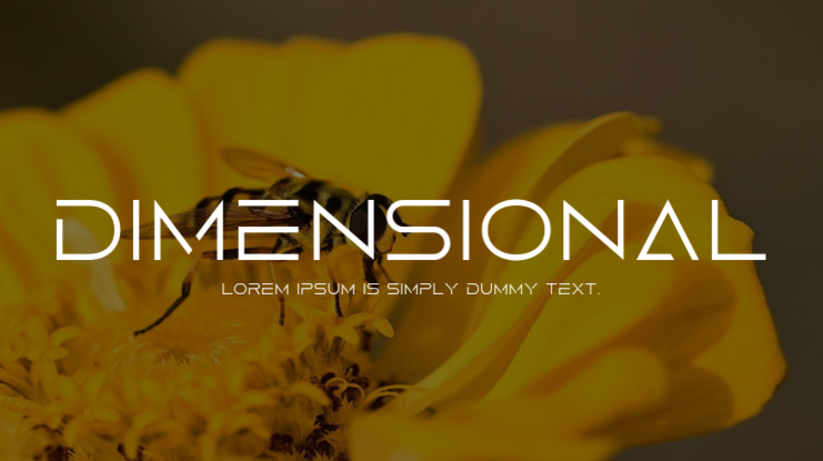 Dimensional Font Family