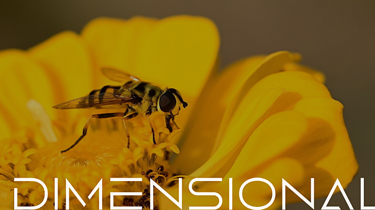 Dimensional Font Family