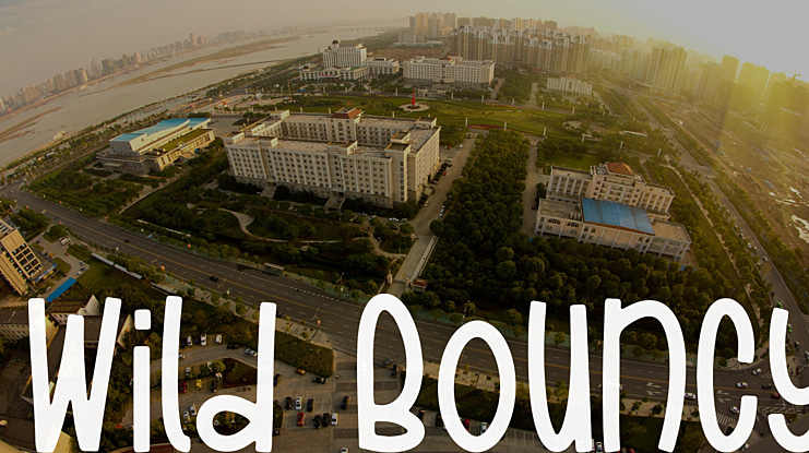 Wild Bouncy Font
