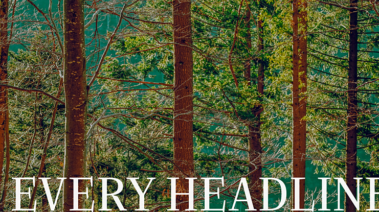 EVERY HEADLINE Font Family