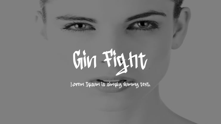 Gin Fight Font