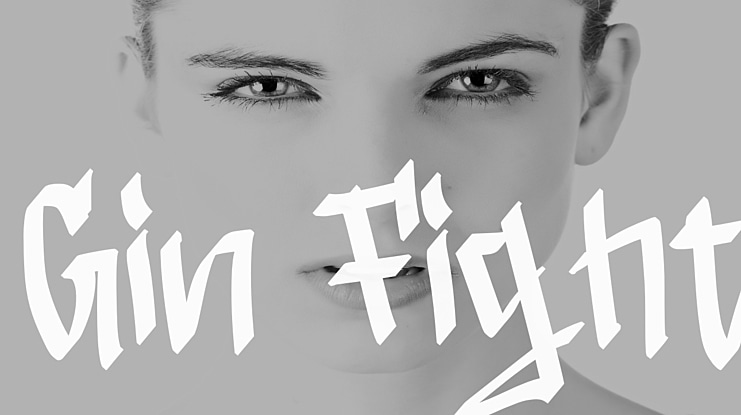 Gin Fight Font