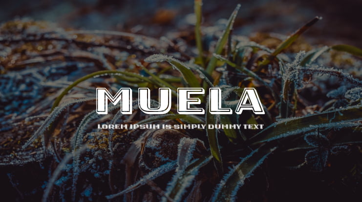 Muela Font Family