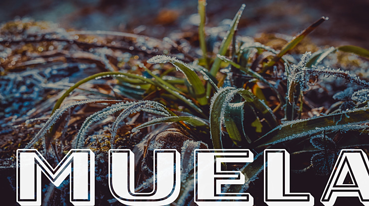 Muela Font Family