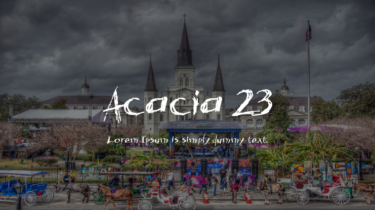 Acacia 23 Font