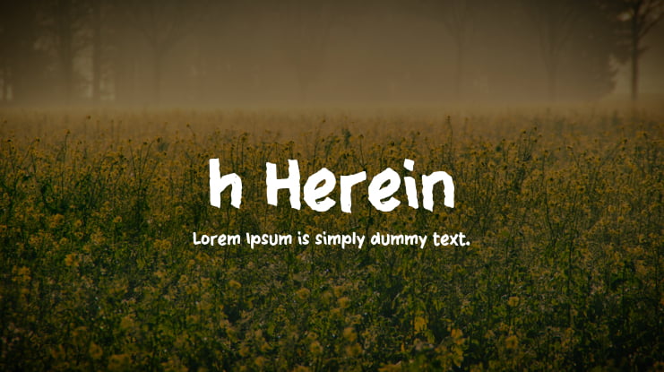 h Herein Font