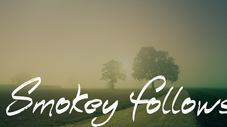 Smokey Follows Font