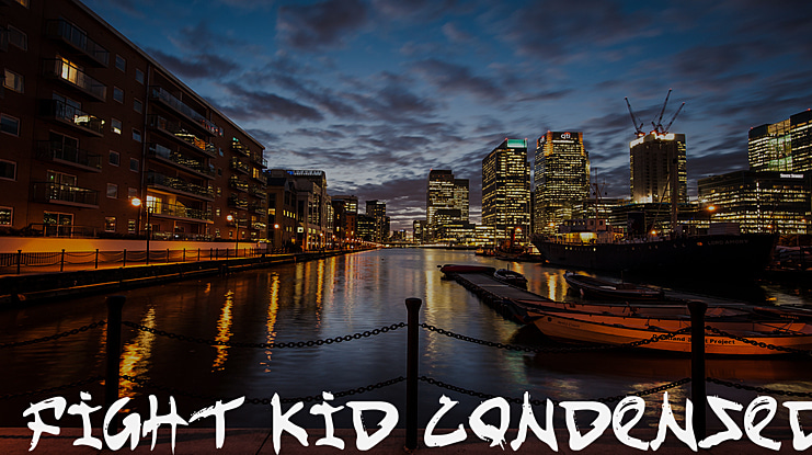 Fight Kid Font Family