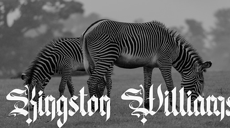 Kingston Williams Font
