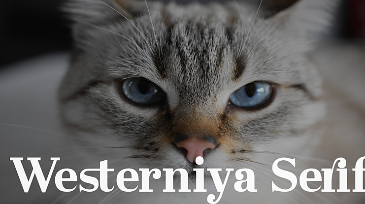 Westerniya Serif Font