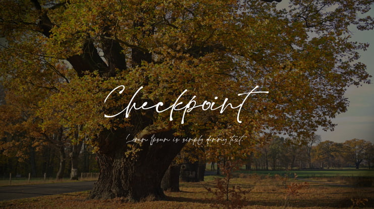 Checkpoint Font