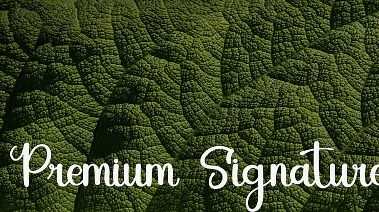 Premium Signature Font