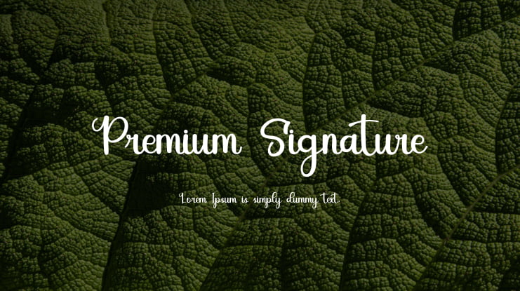 Premium Signature Font