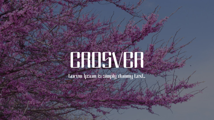 CROSVER Font