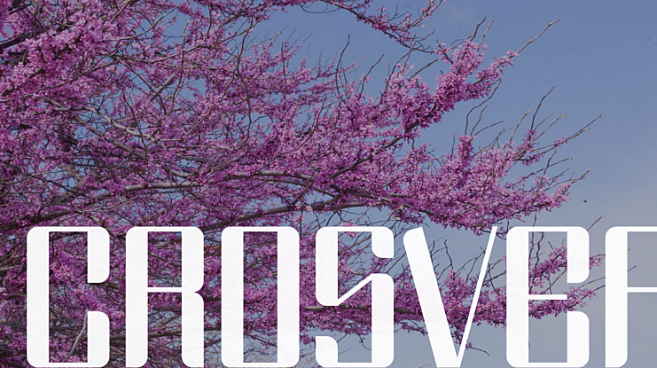 CROSVER Font