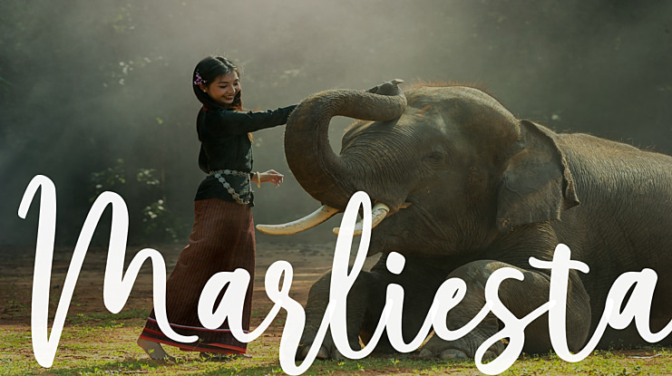 Marliesta Font
