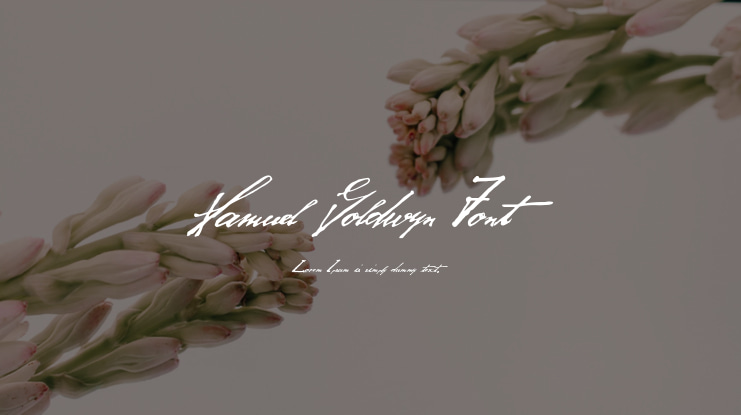 Samuel Goldwyn Font