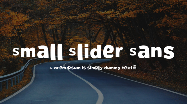 Small Slider Sans Font
