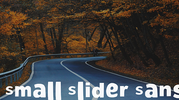 Small Slider Sans Font