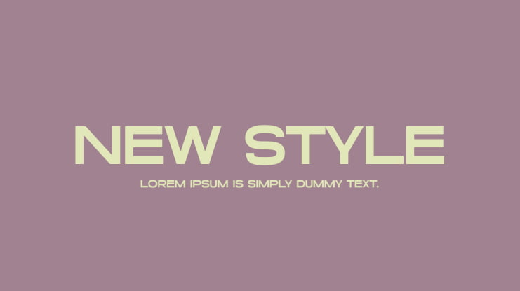 New Style Font