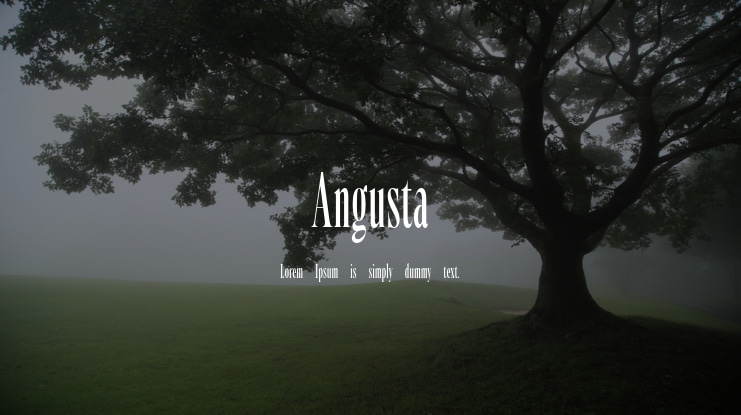 Angusta Font Family