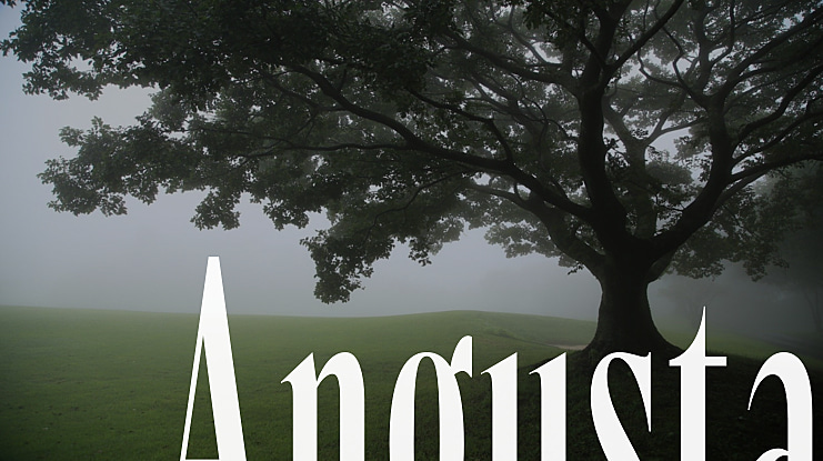 Angusta Font Family
