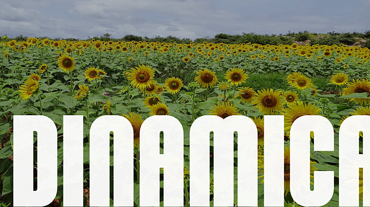 Dinamica Font