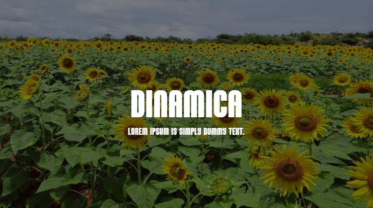 Dinamica Font