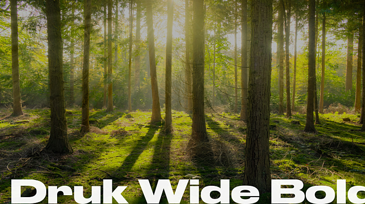 Druk Wide Bold Font