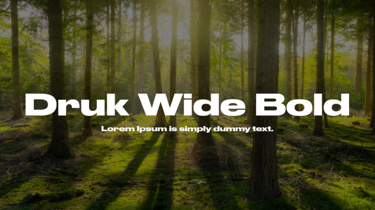 Druk Wide Bold Font