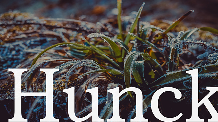 Hunck Font Family