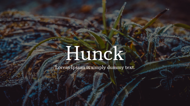Hunck Font Family